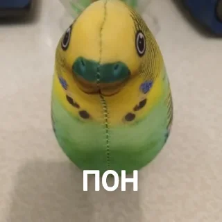 👌 emoji Попуга @bloptop Telegram sticker 14 of 21