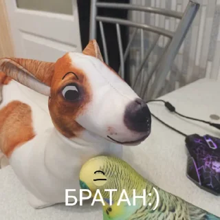 🤝 emoji Попуга @bloptop Telegram sticker 9 of 21