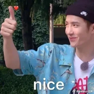 👍 emoji Wang Yibo 💚 Telegram sticker 21 of 41