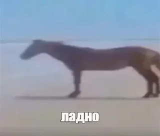Sticker from стикеры
