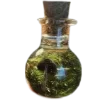 ⚗ emoji @aestheticaemoji goblincore Telegram sticker 5 of 147