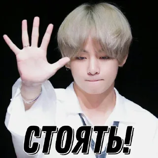 ✋ emoji Taetae Telegram sticker 12 of 90