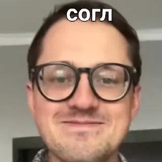 🙂 emoji Саша БЛОПТОП Telegram sticker 10 of 20