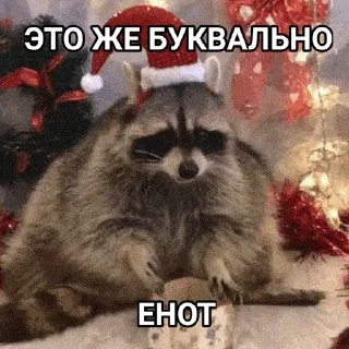 🌟 emoji ЭТО ЖЕ БУКВАЛЬНО | RUVN Telegram sticker 14 of 20