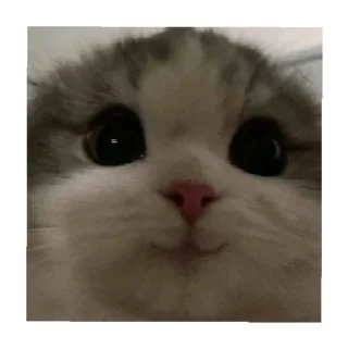 😄 emoji Аришка Telegram sticker 16 of 120