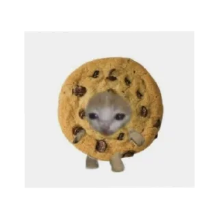 🍪 emoji Котейки Telegram sticker 14 of 60
