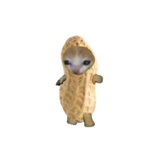 🥜 emoji Котейки Telegram sticker 24 of 60