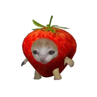 🍓 emoji Котейки Telegram sticker 7 of 60