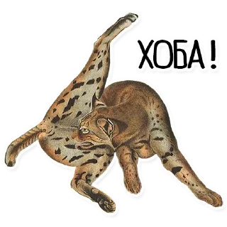 😼 emoji Упоротый Антиквариат Telegram sticker 6 of 42