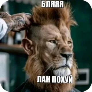 Sticker from Далбаебские стики by @Hexxagonov