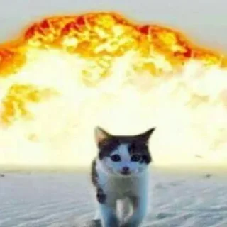 🤯 emoji нарКотики Telegram sticker 21 of 21