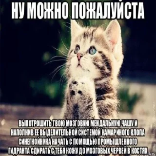 🥺 emoji нарКотики Telegram sticker 8 of 21