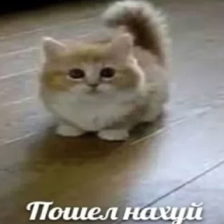 😯 emoji нарКотики Telegram sticker 12 of 21