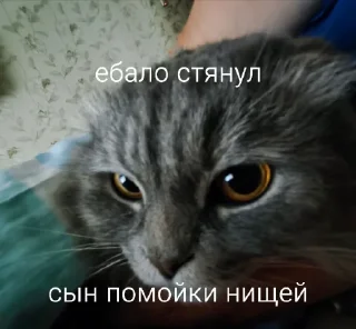 🤩 emoji Передоз @TgEmodziBot Telegram sticker 3 of 8