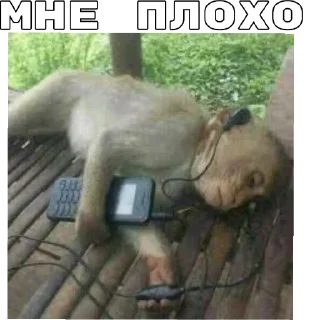 Sticker from нефор сити