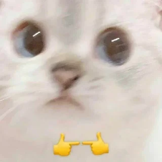 🙂 emoji На всі випадки життя Telegram sticker 8 of 119