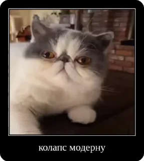 💀 emoji Колапс модерну @solovyy Telegram sticker 1 of 50