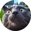 Sticker from Cats Cats Cats