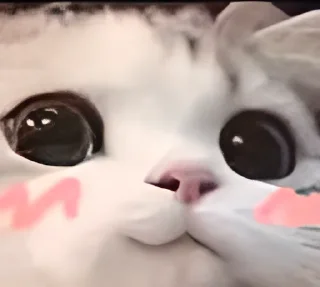 Sticker from UwU