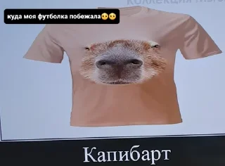 🌟 emoji Капибари мутанти🫡 Telegram sticker 10 of 22