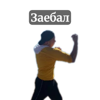 🎢 emoji Денди Telegram sticker 8 of 37