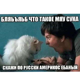 🐱 emoji эщкере Telegram sticker 23 of 35