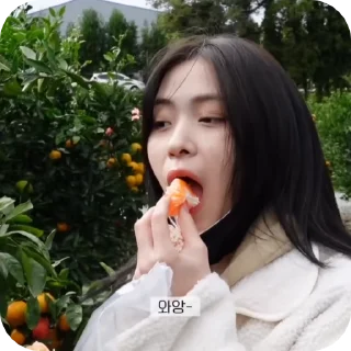 🪻 emoji ryujin🪻@helpfromspraythub Telegram sticker 18 of 45