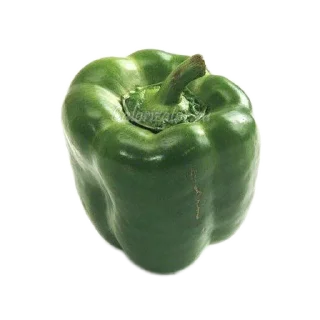 🫑 emoji Автор @Bolgarciy1perchik Telegram sticker 22 of 47