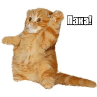 👋 emoji Для супер важных переговоров Telegram sticker 21 of 24