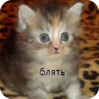 🫢 emoji Для супер важных переговоров Telegram sticker 15 of 24