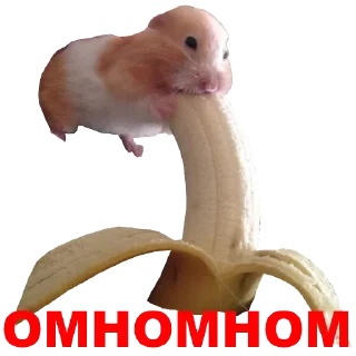 😏 emoji Hamster @TVstickers Telegram sticker 13 of 42