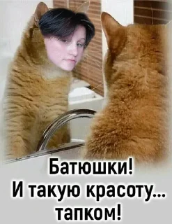 🧠 emoji Мемы с котами Telegram sticker 19 of 40