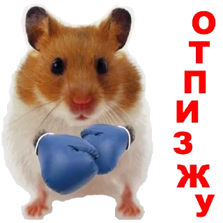 ☹️ emoji Hamster @TVstickers Telegram sticker 12 of 42