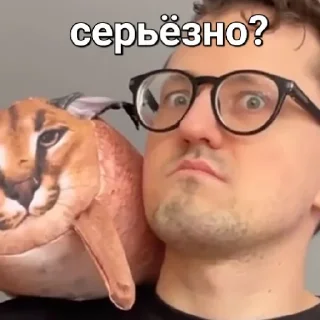 Sticker from Саша БЛОПТОП