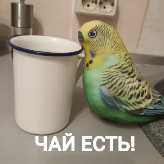 ✅ emoji Попуга @bloptop Telegram sticker 15 of 21