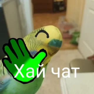 👋 emoji Попуга @bloptop Telegram sticker 20 of 21