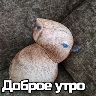 👋 emoji Капибара @bloptop Telegram sticker 18 of 33