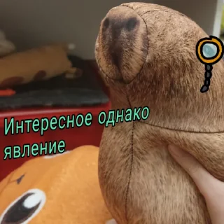 🕶 emoji Капибара @bloptop Telegram sticker 12 of 33