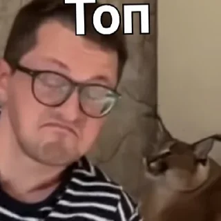👍 emoji Саша БЛОПТОП Telegram sticker 12 of 20