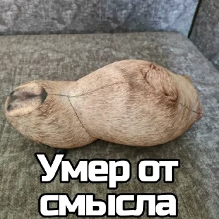💀 emoji Капибара @bloptop Telegram sticker 19 of 33