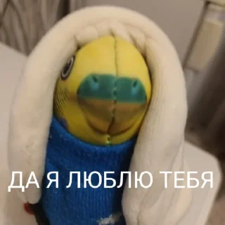 ❤️ emoji Попуга @bloptop Telegram sticker 6 of 21