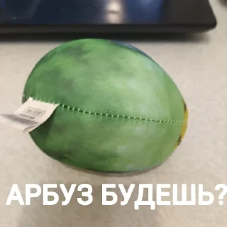🍉 emoji Попуга @bloptop Telegram sticker 19 of 21