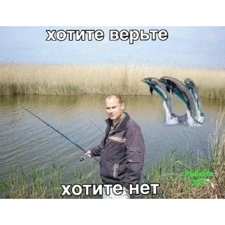 Sticker from смешные картинки