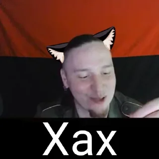 😸 emoji Котячий Рейх Telegram sticker 22 of 53
