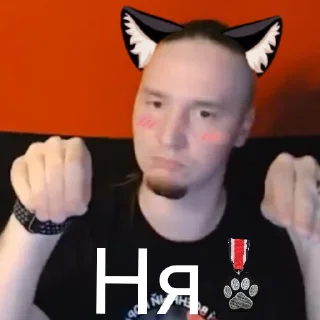 👍 emoji Котячий Рейх Telegram sticker 7 of 53