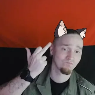 🖕 emoji Котячий Рейх Telegram sticker 20 of 53