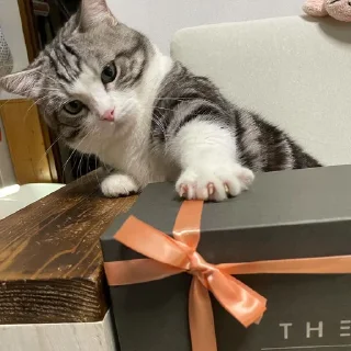 🍞 emoji @panchanporjat stickers 1 Telegram sticker 9 of 51