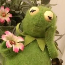 🌸 emoji Kermit the frog Telegram sticker 13 of 41