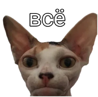 😐 emoji Ладно Telegram sticker 5 of 10