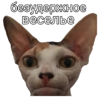 😐 emoji Ладно Telegram sticker 10 of 10